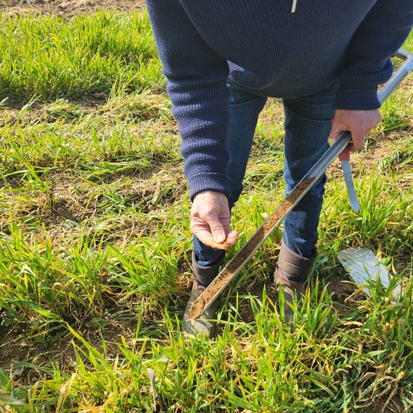 47b86f9a-445f-44fb-badd-71629a5acbf0