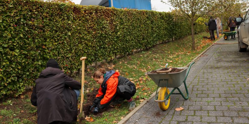 GreeningTheCampus_©HienDo_291025-9