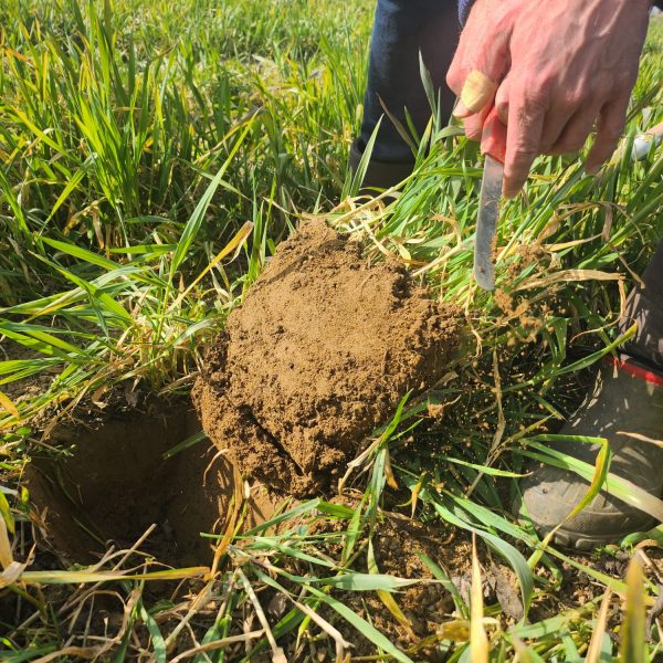 bcc3f8f8-791e-4536-940b-18d018a1edad